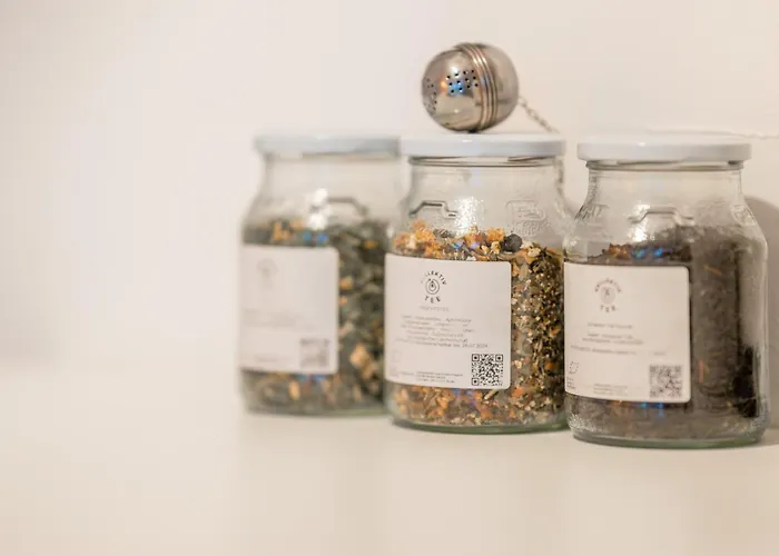 Studio-apartment Zentral & Gemuetlich Sophienstrasse Apartment Kassel